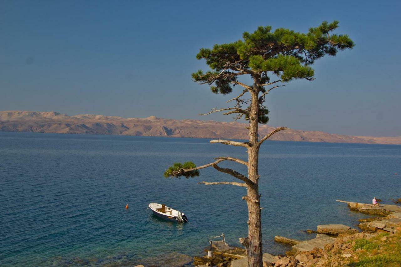Beachfront House Ivana With Pool - Renovated 2025 Cesarica Εξωτερικό φωτογραφία