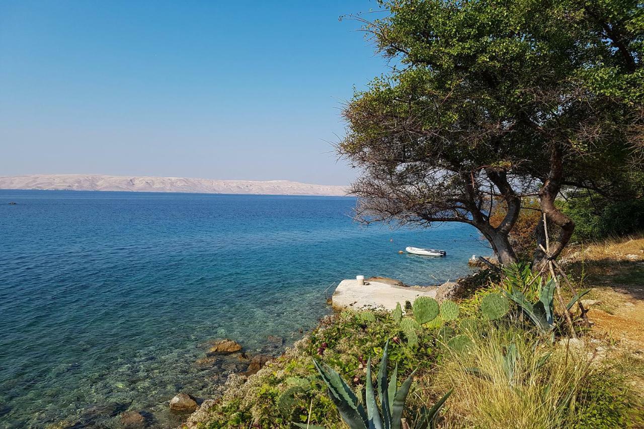 Beachfront House Ivana With Pool - Renovated 2025 Cesarica Εξωτερικό φωτογραφία