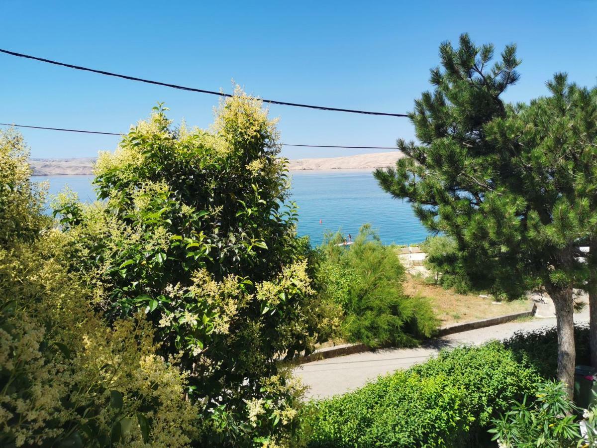 Beachfront House Ivana With Pool - Renovated 2025 Cesarica Εξωτερικό φωτογραφία